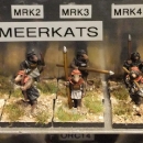 Magister_Militum_02