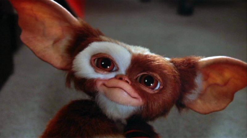 Cute Mogwai from gremlins